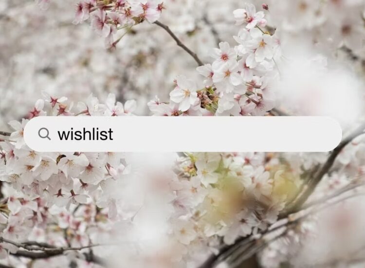 Wishtender: Game-Changing Wishlist Platform